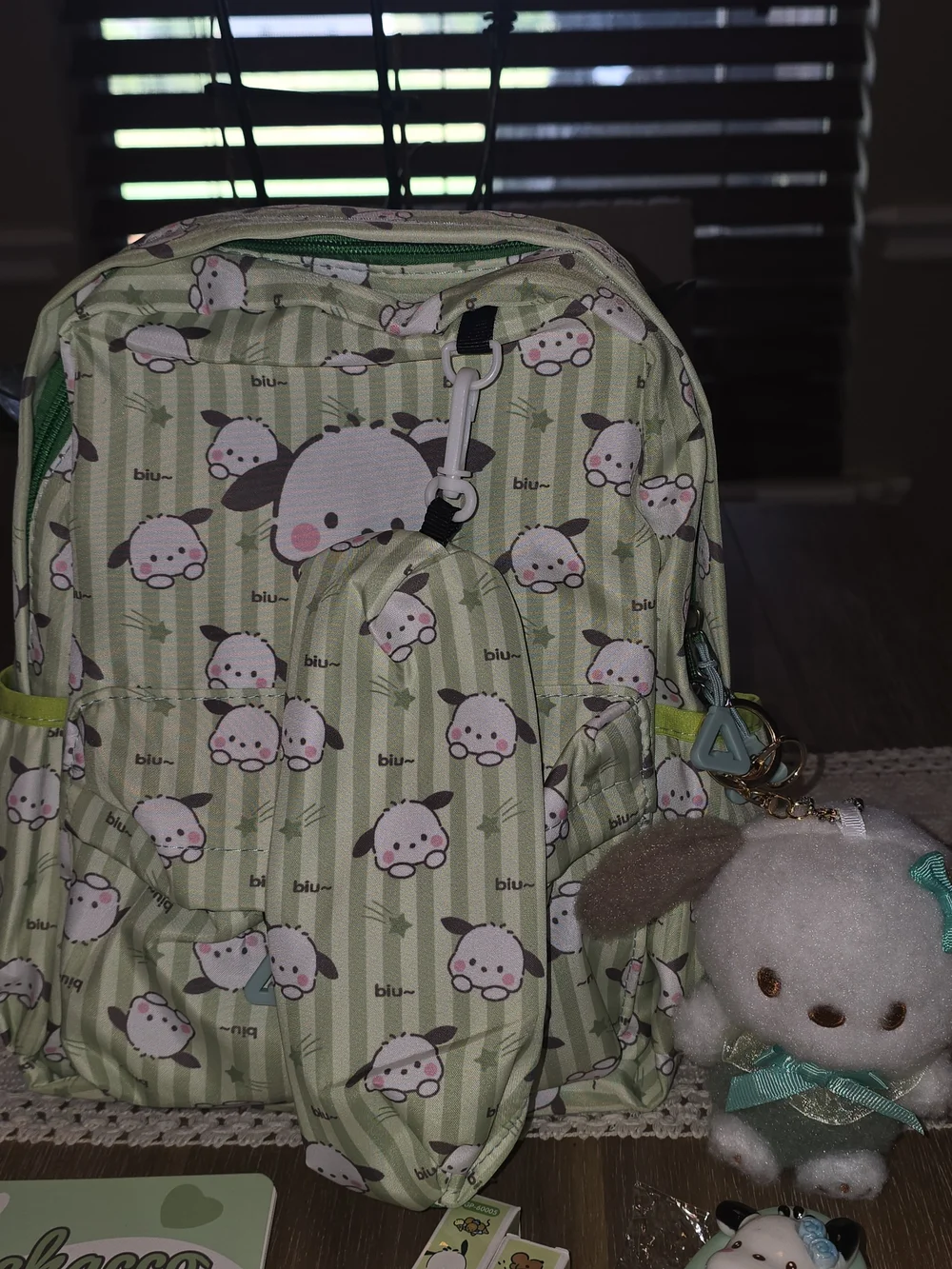 ✨ Sanrio Pochacco Mega Collector's Aesthetic Bundle ✨